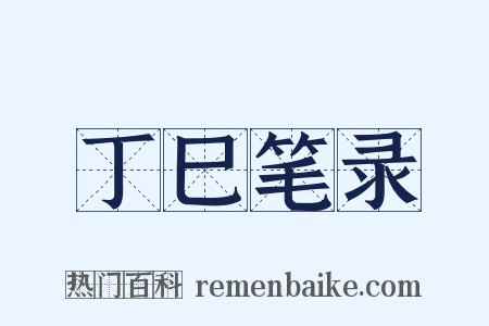 丁巳笔录是什么意思的图片